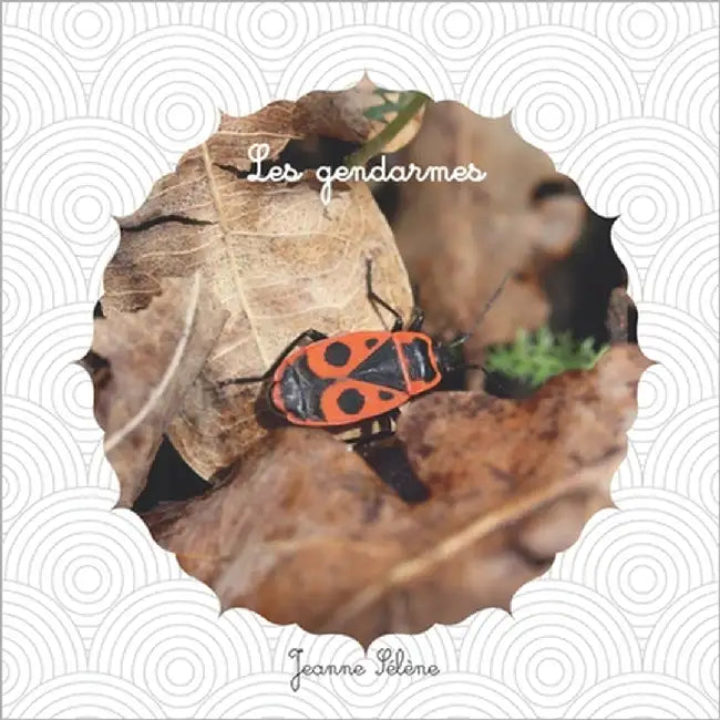 Les gendarmes: Pyrrhocoris apterus documentaire animalier by Sélène, Jeanne
