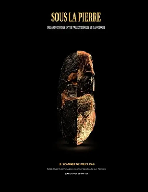Sous la pierre: Regards croisés entre paléontologie et radiologie by Jean Claude Le Van an