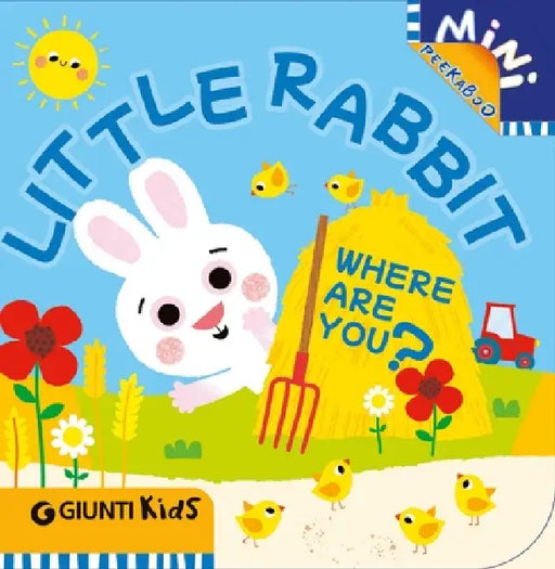 Little Rabbit Where Are You?: A Peekaboo Adventure on the Farm by Martina Boschi, Chiara Bordoni
