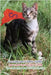 Le avventure di Gatto SUPER - Les aventures de Chat SUPER - The Adventures of SUPER the Cat by Polidori, Silvia