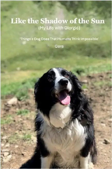 Like the Shadow of the Sun (My Life with Giorgio) by Cora