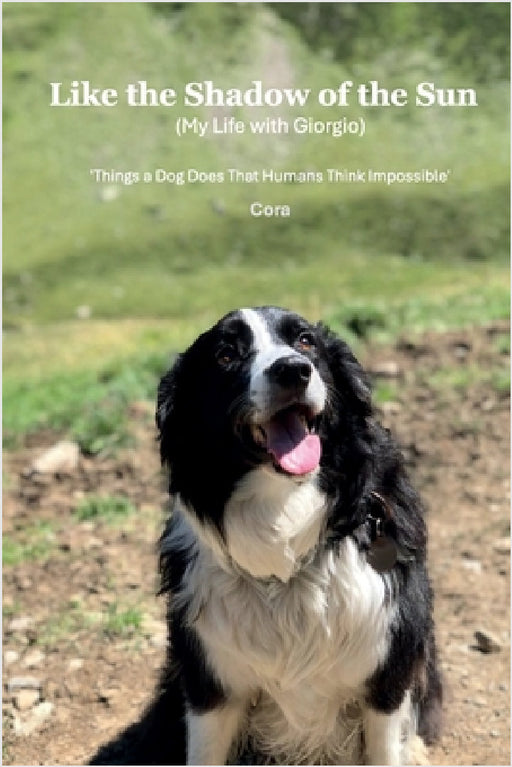 Like the Shadow of the Sun (My Life with Giorgio) by Cora