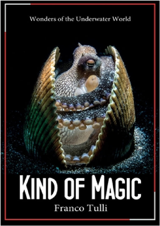 Kind of Magic. Wonders of the underwater world by Franco Tulli