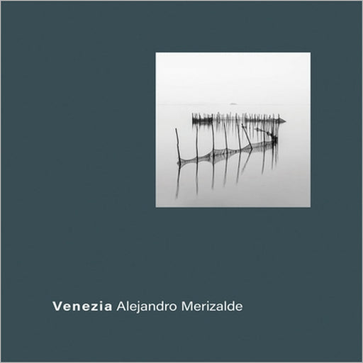 Venezia: Beyond the Icon by Alejandro Merizalde, Luis Pérez-Oramas