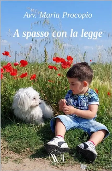 A spasso con la legge by Aliffi, Mariagrazia
