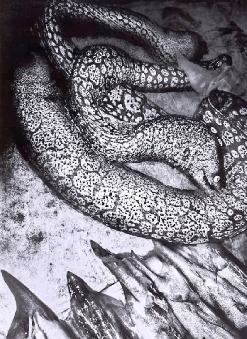 Napoli: Anders Petersen by Anders Petersen