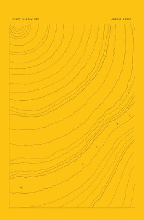 Giant Willow Oak by Amanda Sauer