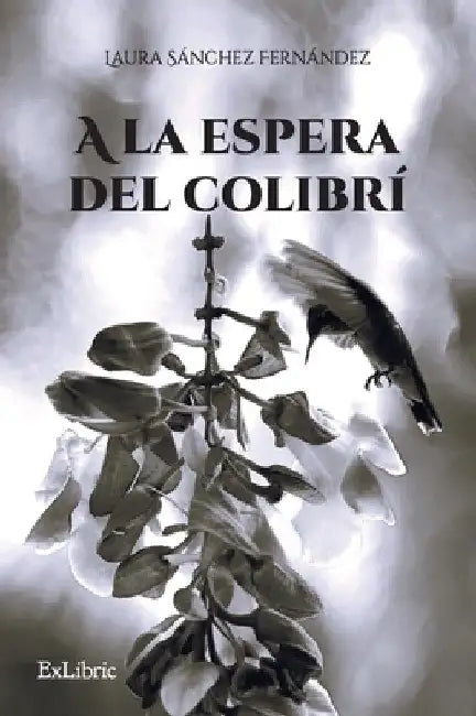 A la espera del colibrí by Laura Sánchez Fernández