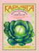 Kapusta / Cabbage by Alissa Timoshkina