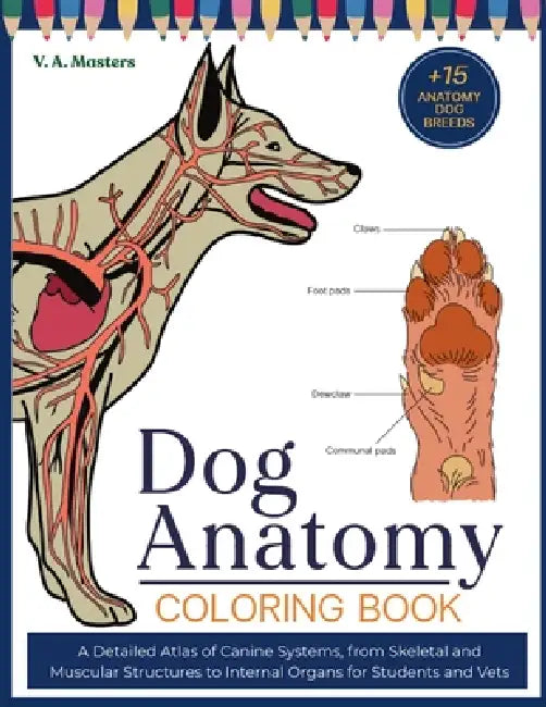 Dog Anatomy Coloring Book: A Detailed Atlas of Canine Systems, from Skeletal and Muscular Structures to Internal Organs for Students and Vets by V. A. Masters, V. A. Visuals