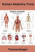 Human Anatomy Trivia by Thomas Morgan