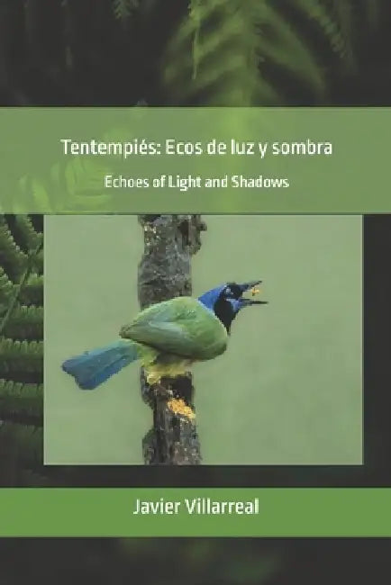 Tentempiés: Ecos de luz y sombra: Echoes of Light and Shadows by Javier Villarreal