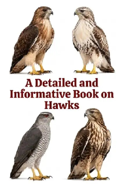 A Detailed and Informative Book on Hawks by Zulfiqar Khan