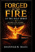 Forged in the Fire of the Holy Spirit: Building a Life in Christ on Unshakeable Foundations by MacDonald Mweemba Chaava