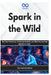 Spark in the Wild: Big Data Processing, Streaming Analytics, and Machine Learning Pipelines at Scale by Richard Boozman