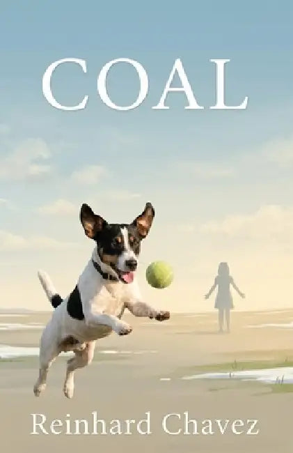 Coal by Reinhard Chavez