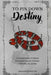 To Pin Down Destiny: An Essential Grimoire of Traditional Iron Geomancy: Mastery of Divination with Needles, Pins, and Nails by Pallante Eumolpos