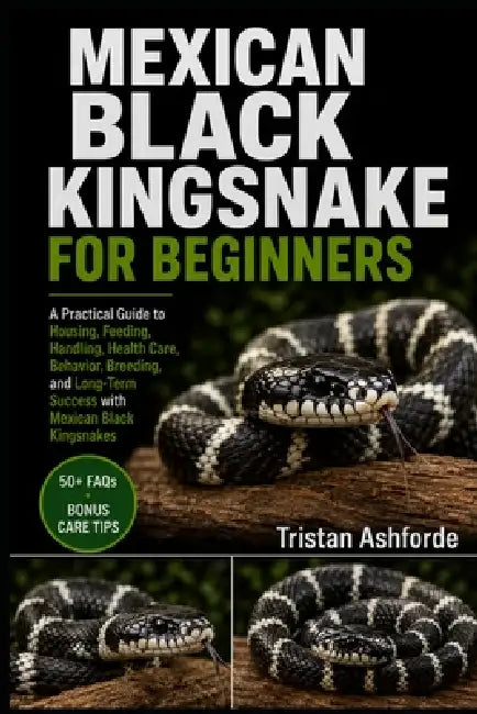 Mexican Black Kingsnake for Beginners: A Practical Guide to Housing, Feeding, Handling, Health Care, Behavior, Breeding, and Long-Term Success with Me by Tristan Ashforde
