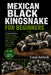 Mexican Black Kingsnake for Beginners: A Practical Guide to Housing, Feeding, Handling, Health Care, Behavior, Breeding, and Long-Term Success with Me by Tristan Ashforde