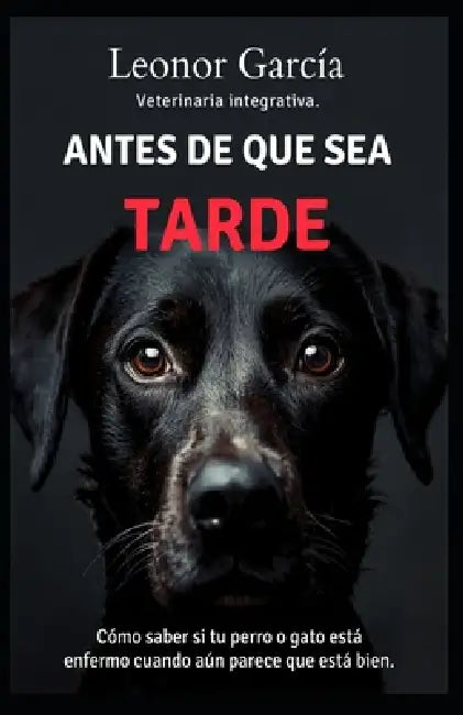 Antes de que sea tarde by Leonor García García