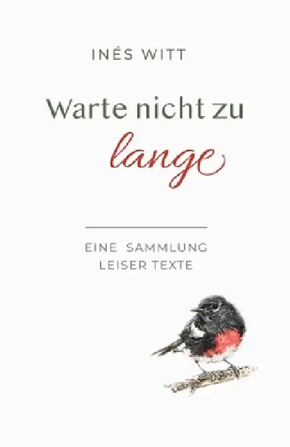 Warte nicht zu lange: Eine Sammlung leiser Texte by Inés Witt