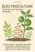 Électroculture - Jardiner avec l'énergie naturelle: Savoirs anciens, nouvelles approches: inspirations, expérimentations et projets DIY pour des plant by Dörthe Müller