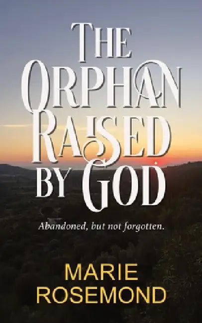 The Orphan Raised By God by Karen Sue Redlack, Marie Rosemond