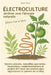 Électroculture - Jardiner avec l'énergie naturelle: Savoirs anciens, nouvelles approches: inspirations, expérimentations et projets DIY pour des plant by Dörthe Müller