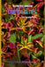How to grow Daylilies for beginners: The Ultimate Beginner's Guide to Growing, Caring for, and Harvesting Stunning Daylilies at Home and garden by Melvins M. Adams
