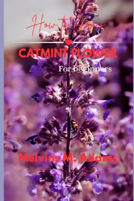 How to Grow Catmint Flower for Beginners: The Ultimate Beginner's Guide to Growing, Caring for, and Harvesting Stunning Catmint at Home and garden by Melvins M. Adams