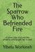 The Sparrow Who Befriended Fire: A brave little bird and the phoenix who taught her to soar by Yibelu Workineh