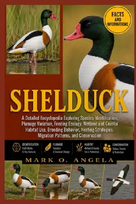 Shelduck: A Detailed Encyclopedia Exploring Species Identification, Plumage Variation, Feeding Ecology, Wetland and Coastal Habitat Use, Breeding Beha by Mark O. Angela