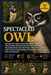 Spectacled Owl: A Definitive and In-Depth Reference Covering Identification, Physical Anatomy, Facial Disk Function, Nocturnal Hunting Strategies, Die by Mark O. Angela