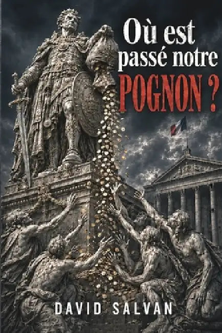Où est passé notre pognon by David Salvan