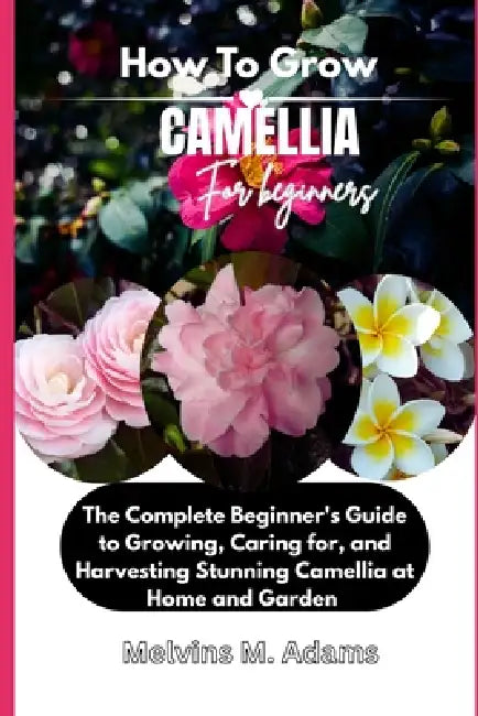 How to Grow Camellia Flower for Beginners: The Ultimate Beginner's Guide to Growing, Caring for, and Harvesting Stunning Camellia at Home and garden by Melvins M. Adams