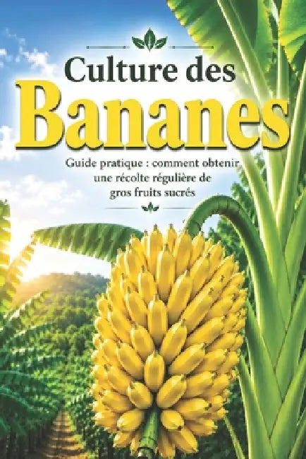 Culture des Bananes: Guide pratique: comment obtenir une récolte régulière de gros fruits sucrés by Svitana