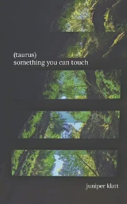 (taurus) something you can touch by Juniper Klatt