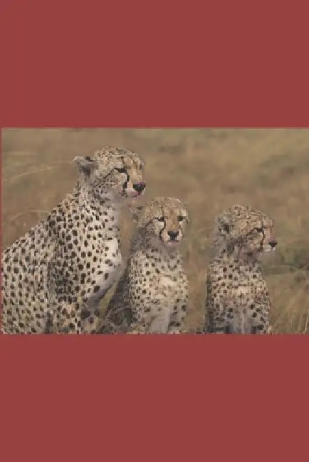 B'ajlom ii Nkotz'i'j Publications' A Concise Swahili Grammar by Sandra Chigüela, Mateo G. R.