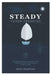 Steady Under Pressure: The Emotionally Intelligent Professional's Guide to High Productivity and Smart Decisions Without the Noise by Shon Crawford