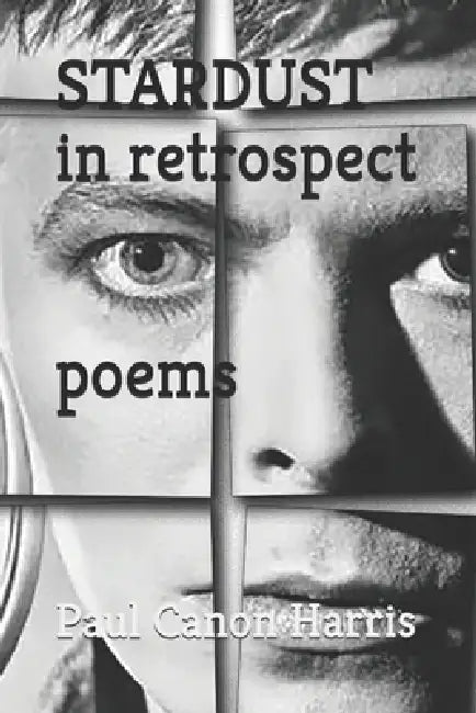 Stardust In Retrospect by Paul Canon Harris