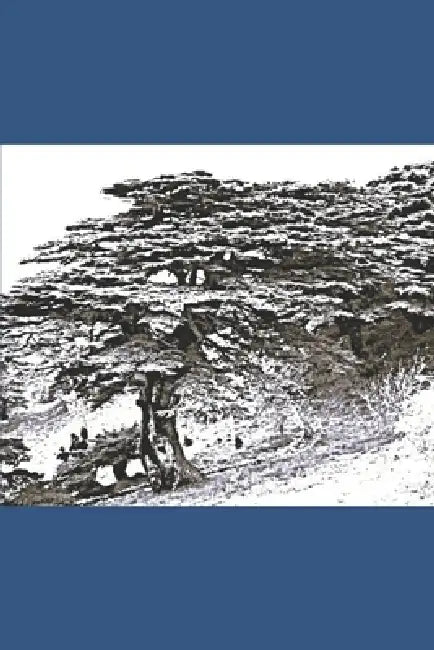 B'ajlom ii Nkotz'i'j Publications' A Concise Lebanese Arabic Grammar by Sandra Chigüela, Mateo G. R.