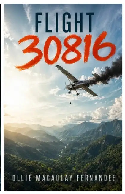 Flight 30816 by Ollie Macaulay Fernandes