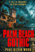 Palm Beach Gothic by Paul Kevin Wood