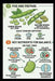 Broad beans Diet: A Step-by-Step Guide to Balanced Nutrition: Health by Saidulu Goud, Nsd Digital Health