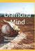 Diamond Mind by Kabir Borsure