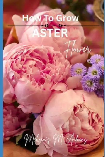 How to grow Aster flowers for beginners: The Ultimate Beginner's Guide to Growing, Caring for, and Harvesting Asters at Home and garden by Melvins M. Adams