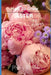 How to grow Aster flowers for beginners: The Ultimate Beginner's Guide to Growing, Caring for, and Harvesting Asters at Home and garden by Melvins M. Adams