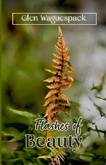 Flashes of Beauty by Glen Waguespack