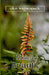 Flashes of Beauty by Glen Waguespack