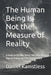The Human Being Is Not the Measure of Reality: A Book on Reality, Belief, Morality, the Human Being and the Primary Field by Prof Dr Daniel Kamstiess